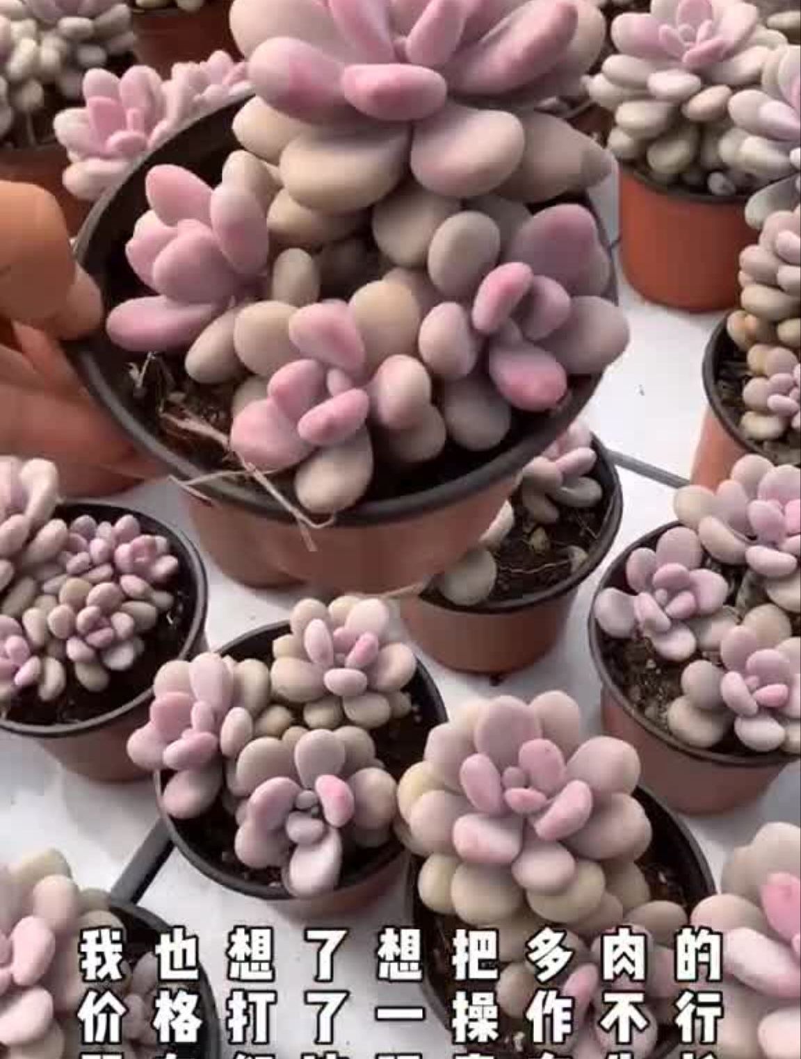 谁告诉我怎么打一下呢？