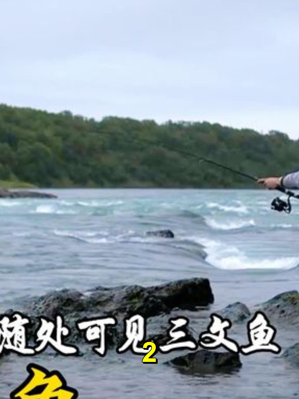 零度以下:阿拉斯加三文鱼随处可见