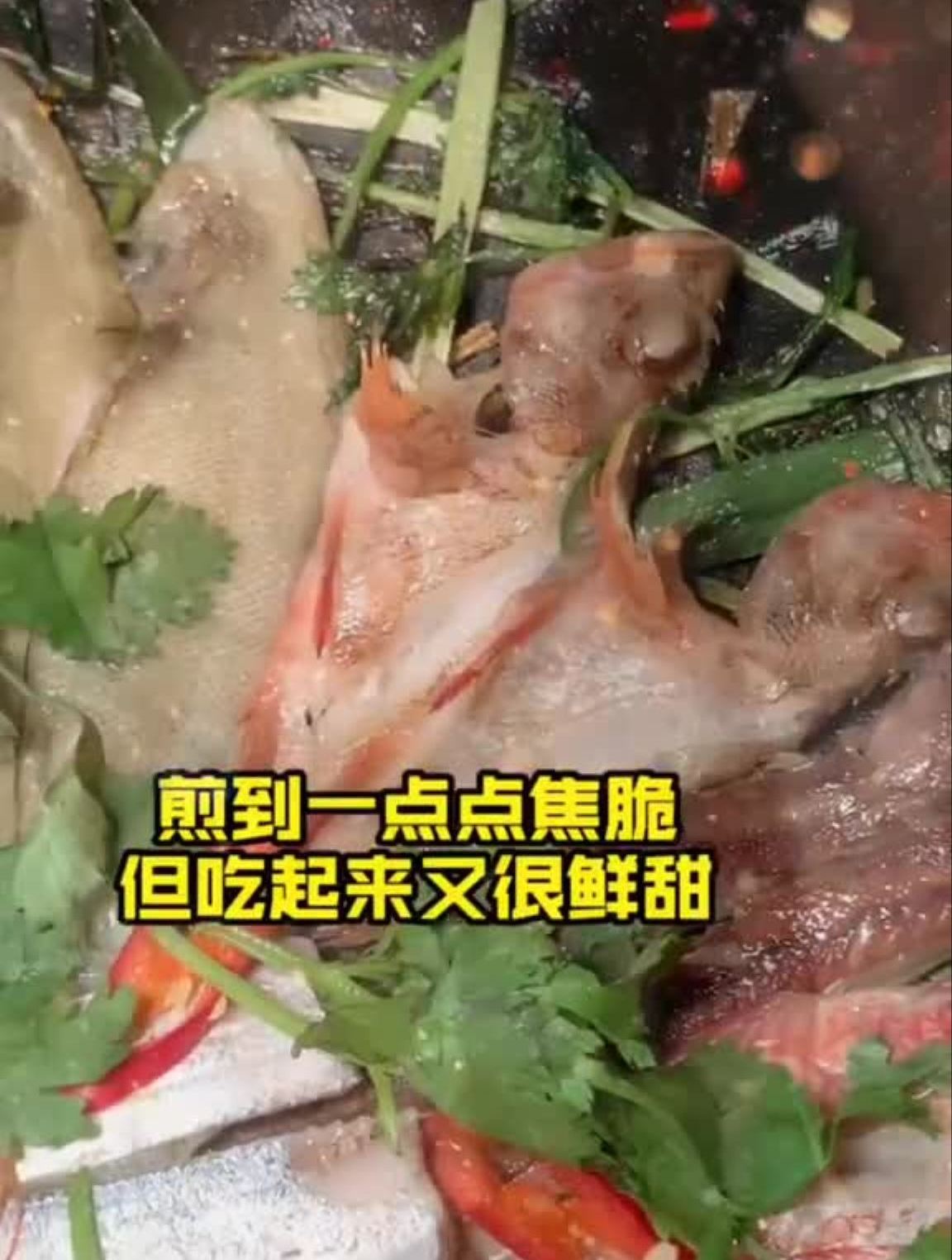 潮汕特色的贴鱼鼎,什么鱼仔都有,鲜到不会说,煮的也蛮好吃的