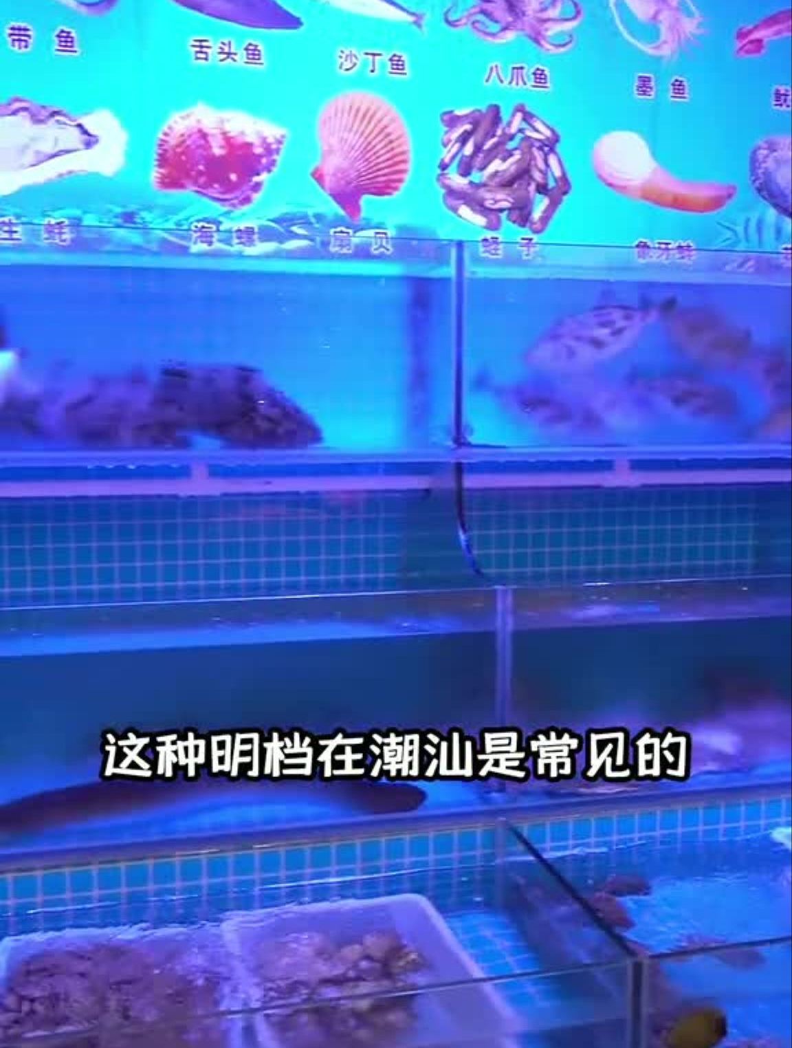 不一样的生腌,胶己人都知道乖鱼,你知道是什么鱼嘛?
