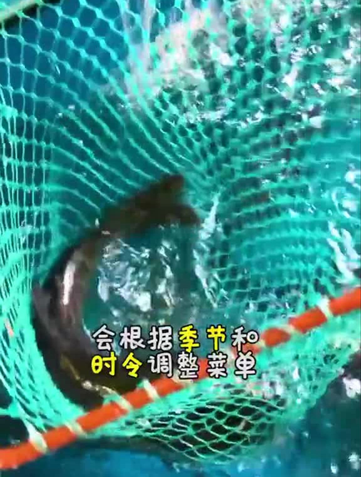 这么接地气的农家菜!真的爱了爱了!长沙浪吃一夏全民打卡季