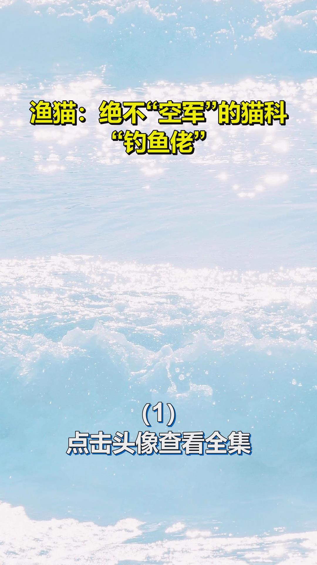 渔猫:绝不“空军”的猫科“钓鱼佬”1
