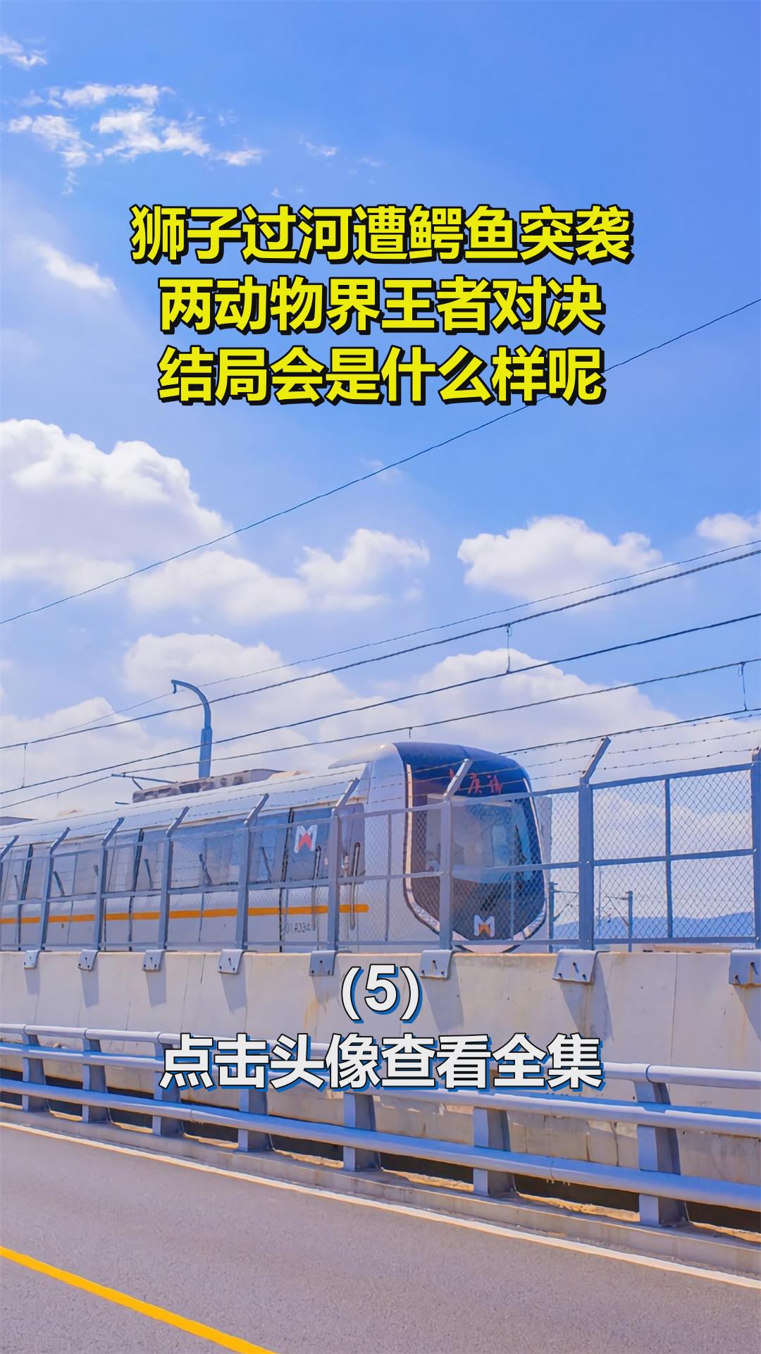 狮子过河遭鳄鱼突袭,两动物界王者对决,结局会是什么样呢5