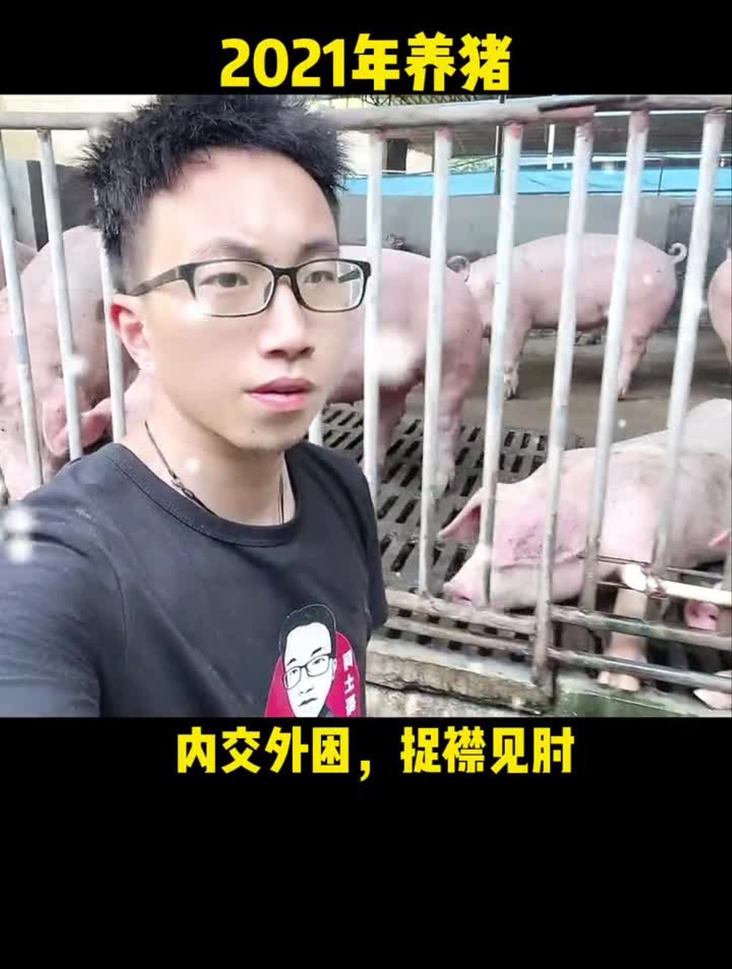 2020年养猪笑眯眯,2021年养猪惨戚戚,2022年养猪怎么形容