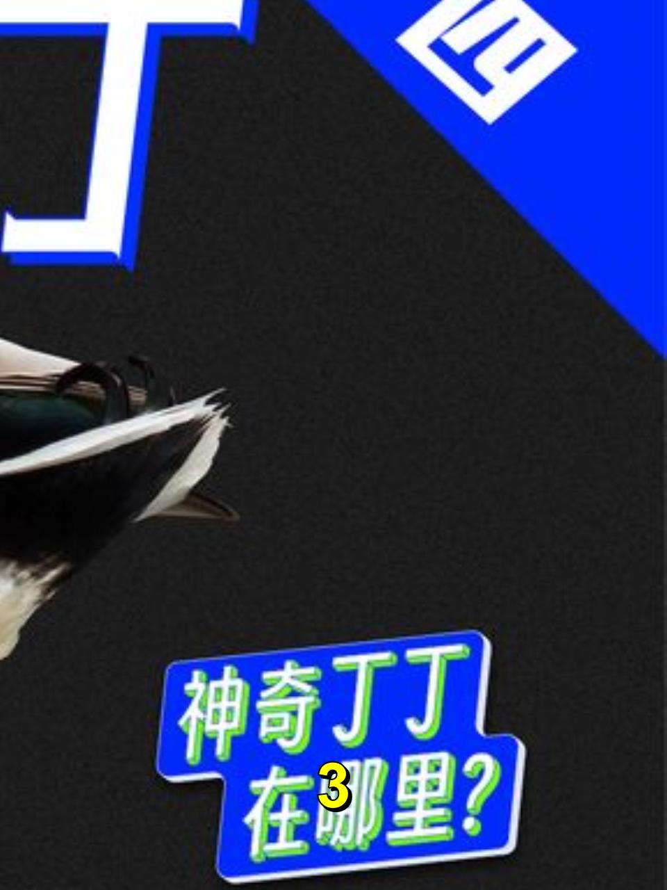 「神奇丁丁在哪里」它的丁丁长这样,TM开瓶器?母鸭子如何是好?3