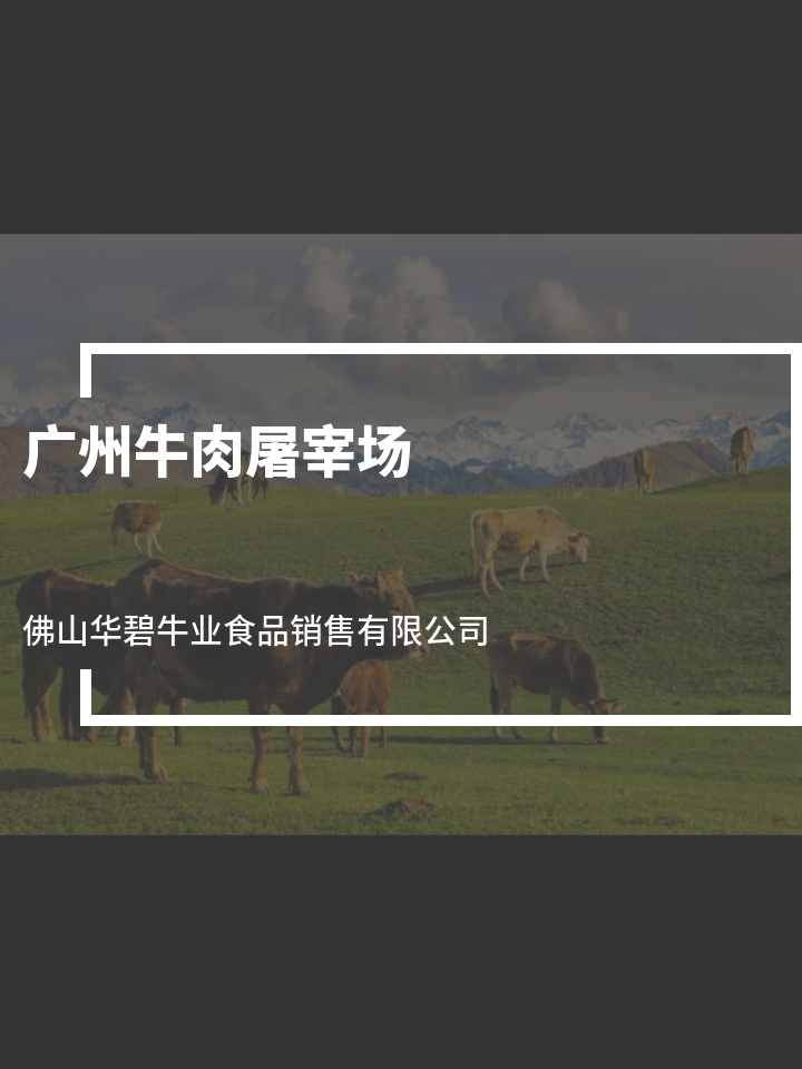 佛山牛肉屠宰场 佛山牛杂批发大量 佛山华碧牛业港式 佛山新鲜