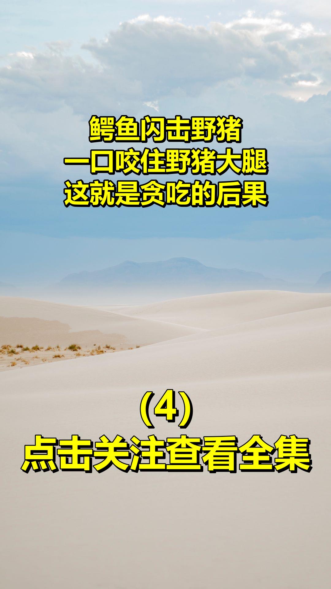 鳄鱼闪击野猪!一口咬住野猪大腿,这就是贪吃的后果!4