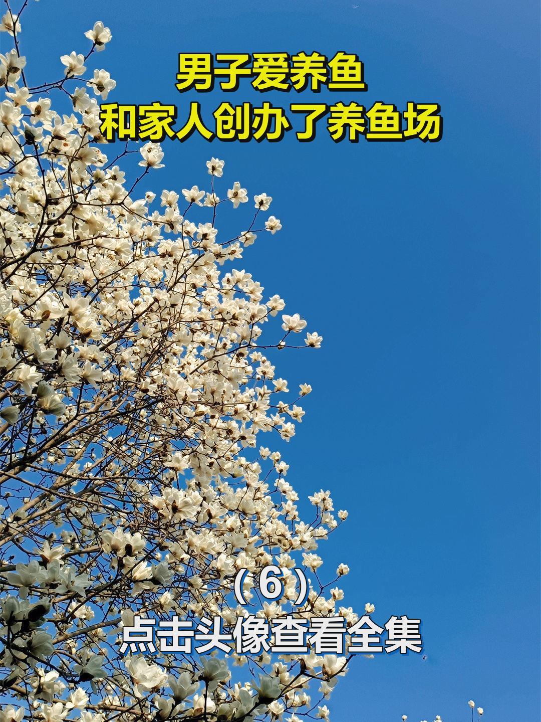 男子爱养鱼,和家人创办了养鱼场6