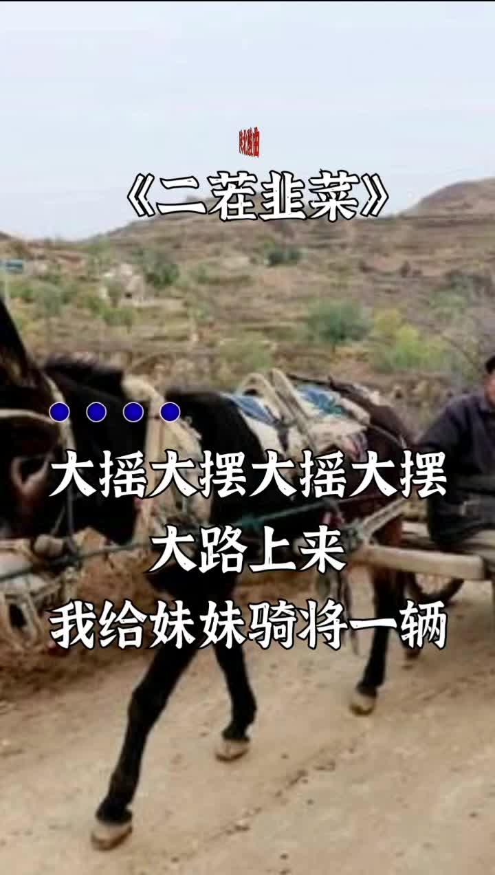 陕北酸曲《二茬韭菜》