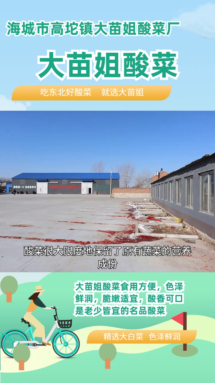 丹东市东北酸菜哪里买 吉林东北白酸菜袋装 锦州市东北白酸菜袋