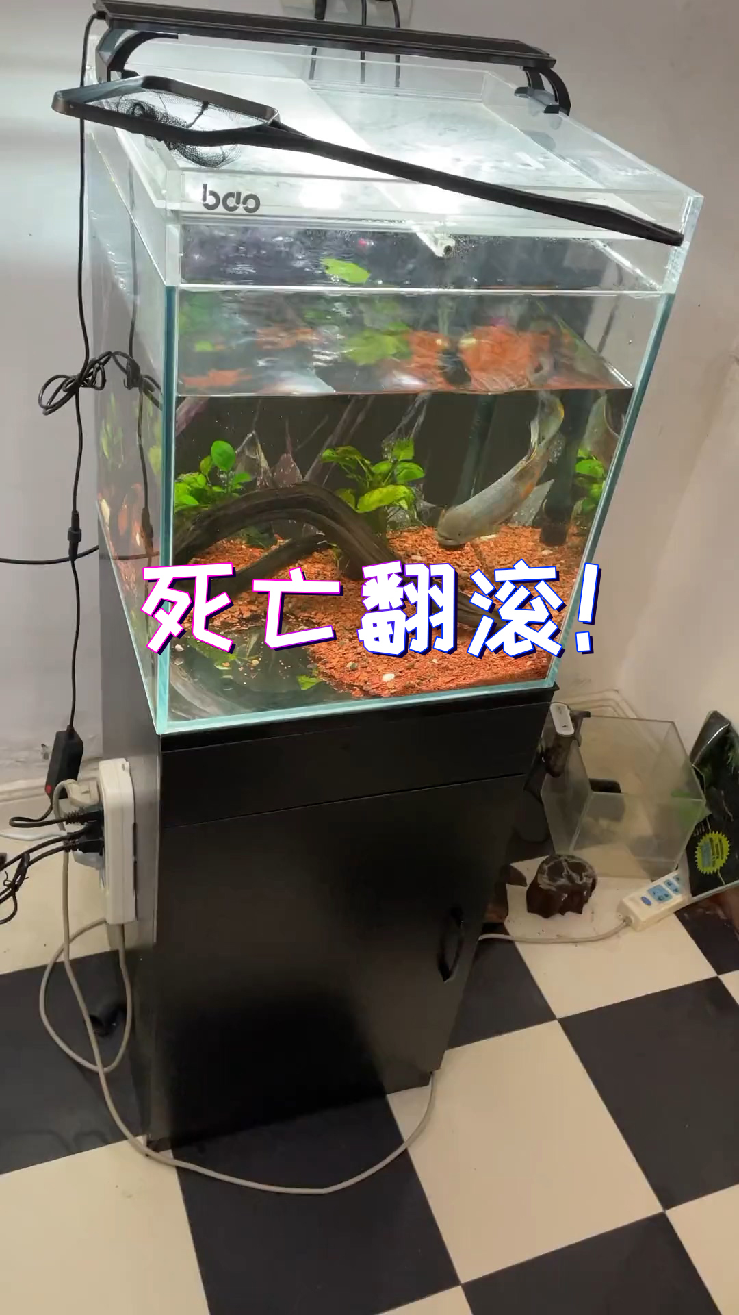 1_一个个都太不给我面子了