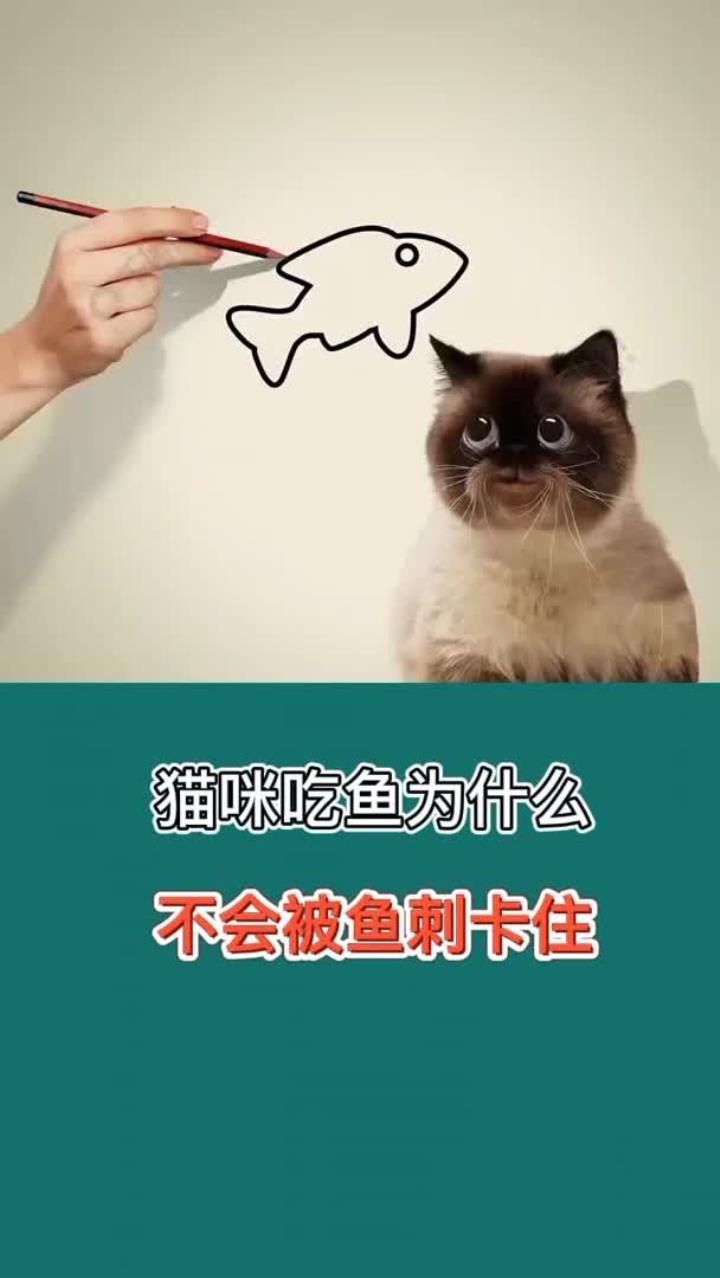 猫咪吃鱼为什么不会被鱼刺卡住 科普 科普一下 知识科普 猫咪