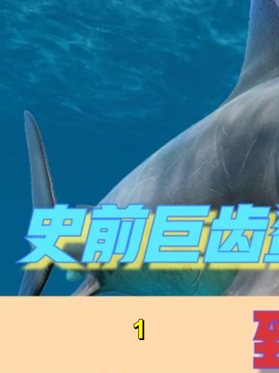 如果把史前鲨鱼做对比,你会发现什么?为何到最后巨齿鲨成为争议1