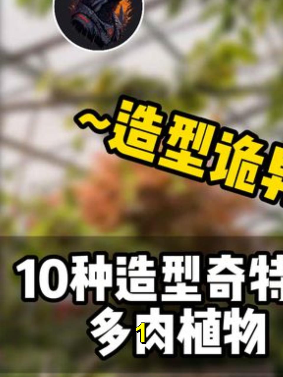 10种造型奇特的多肉植物,你最想养哪个?1