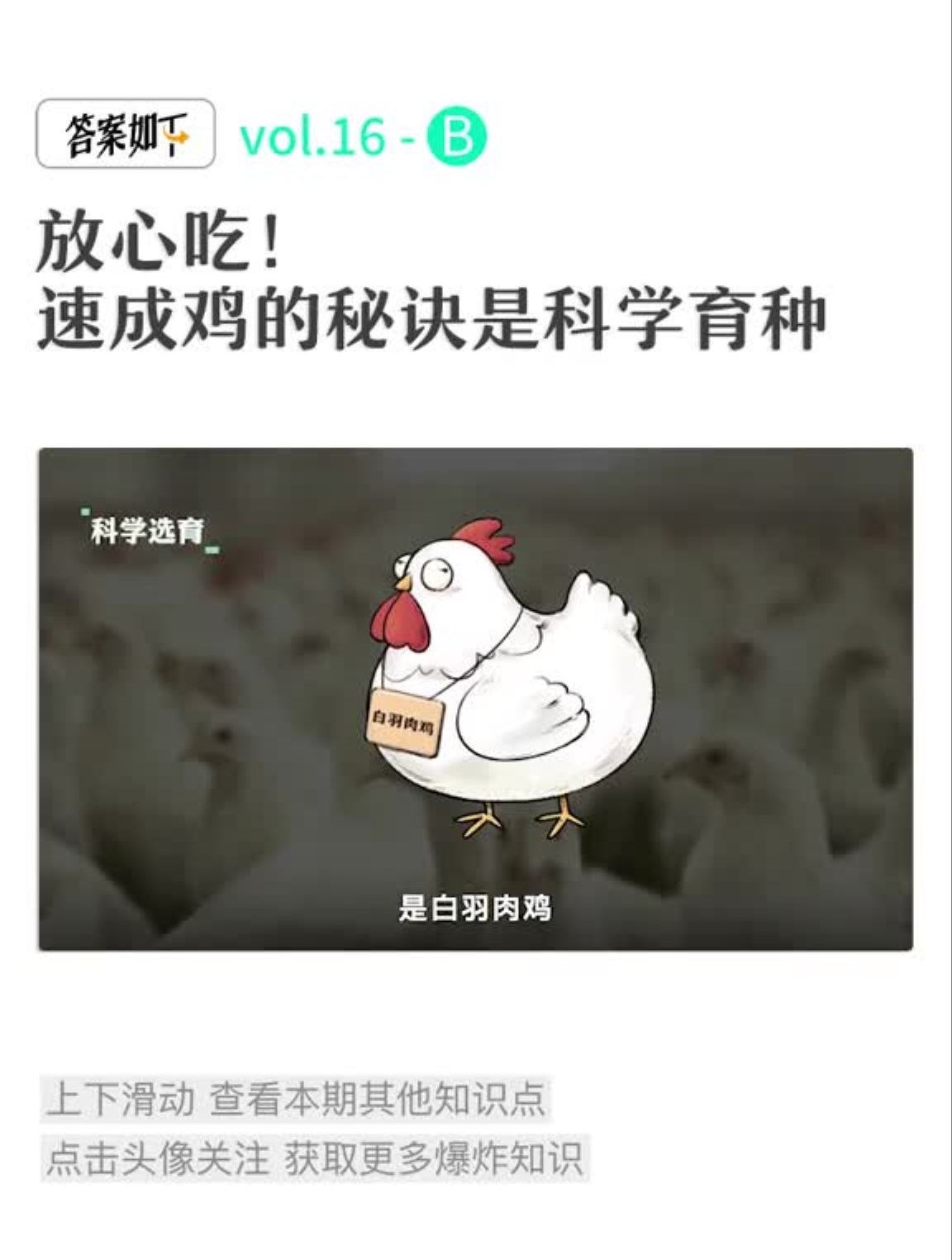 你知道吗?肉食鸡吃的不是饲料,是科学!鸡抖进科学
