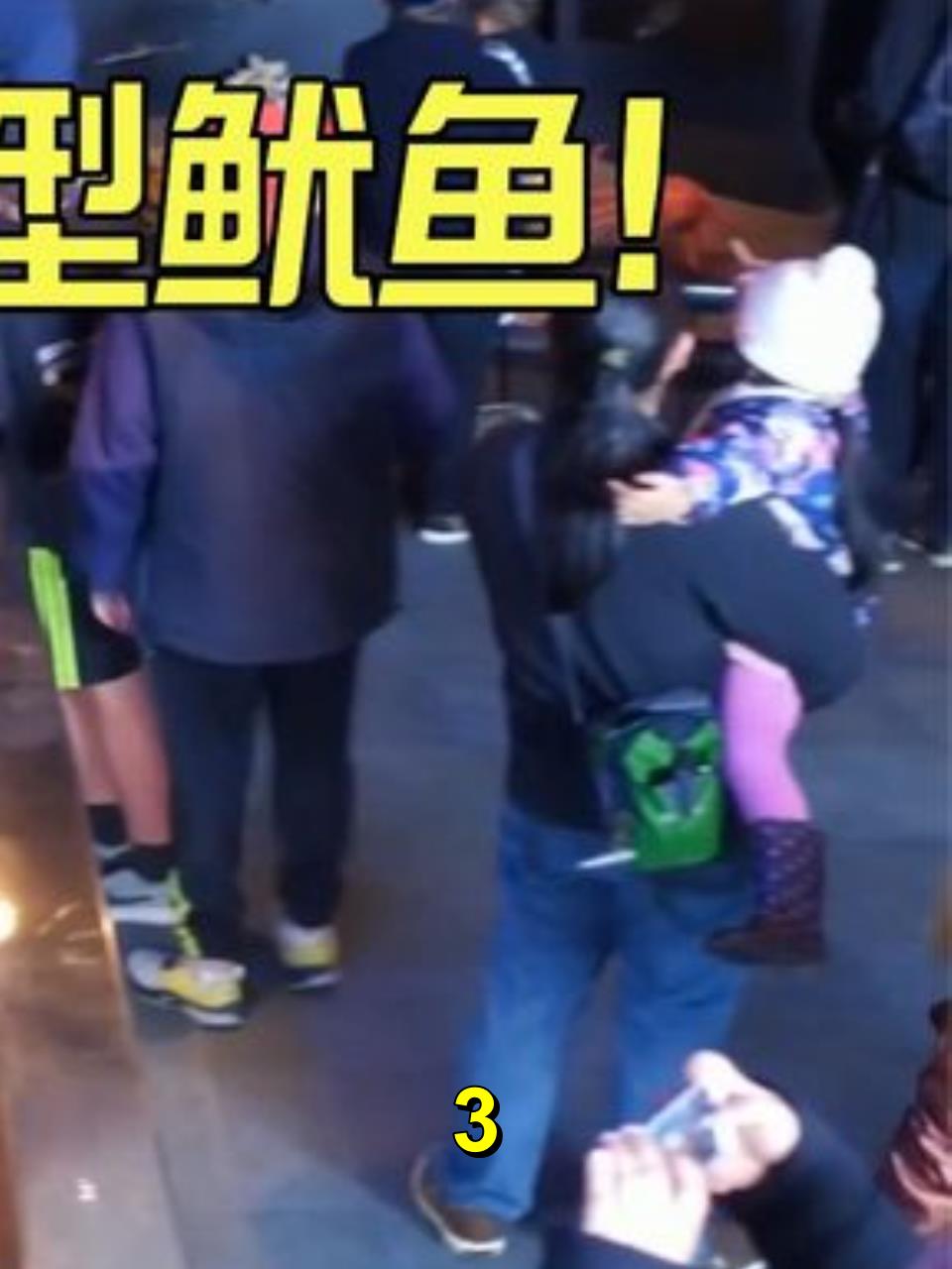 5米长半吨重的巨型鱿鱼!带你探秘南极深处的巨兽!3