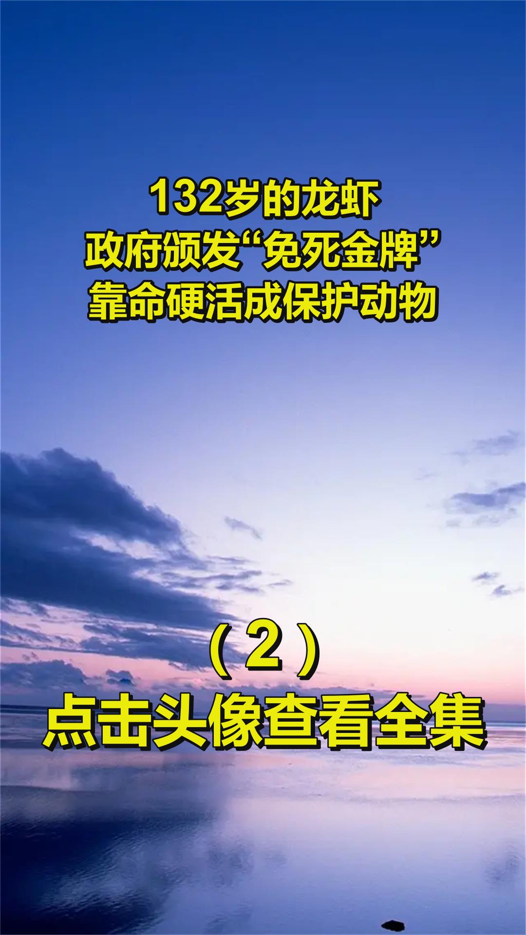 132岁的龙虾,政府颁发“免死金牌”,靠命硬活成保护动物2