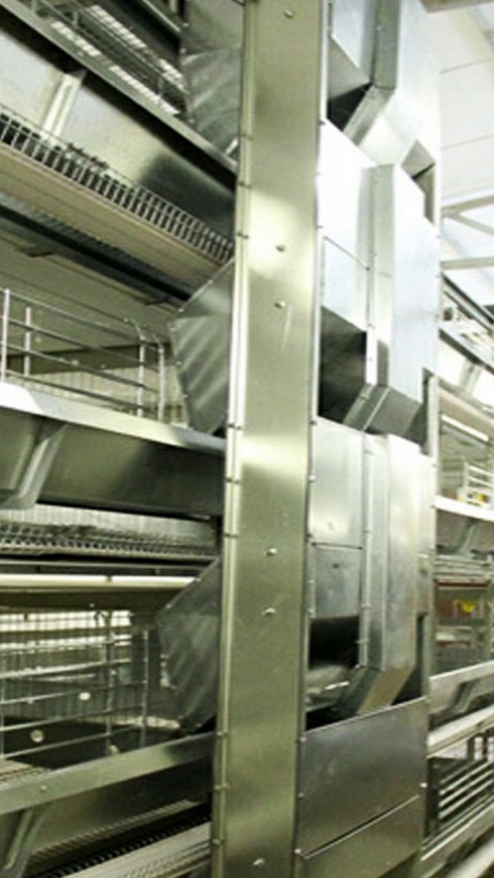 蛋鸡自动喂料机料斗 喂鸡设备 饲料投喂设备 遥控式喂料机