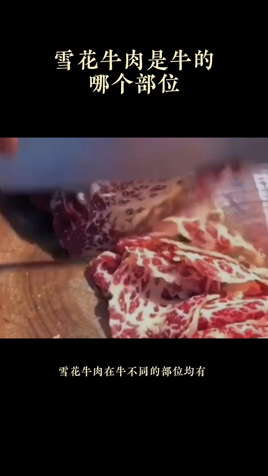 雪花牛肉是牛的哪个部位
