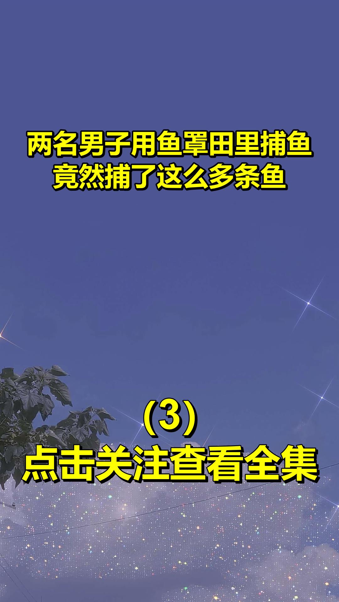 两名男子用鱼罩田里捕鱼,竟然捕了这么多条鱼3