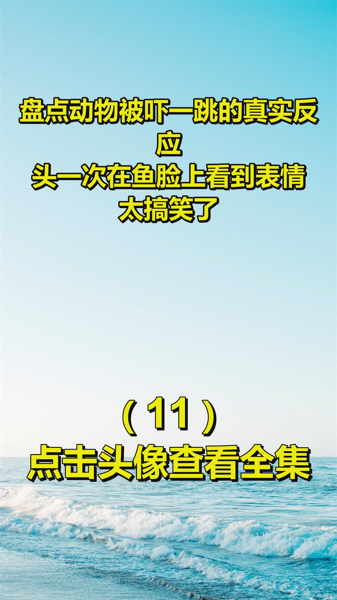 盘点动物被吓一跳的真实反应,头一次在鱼脸上看到表情