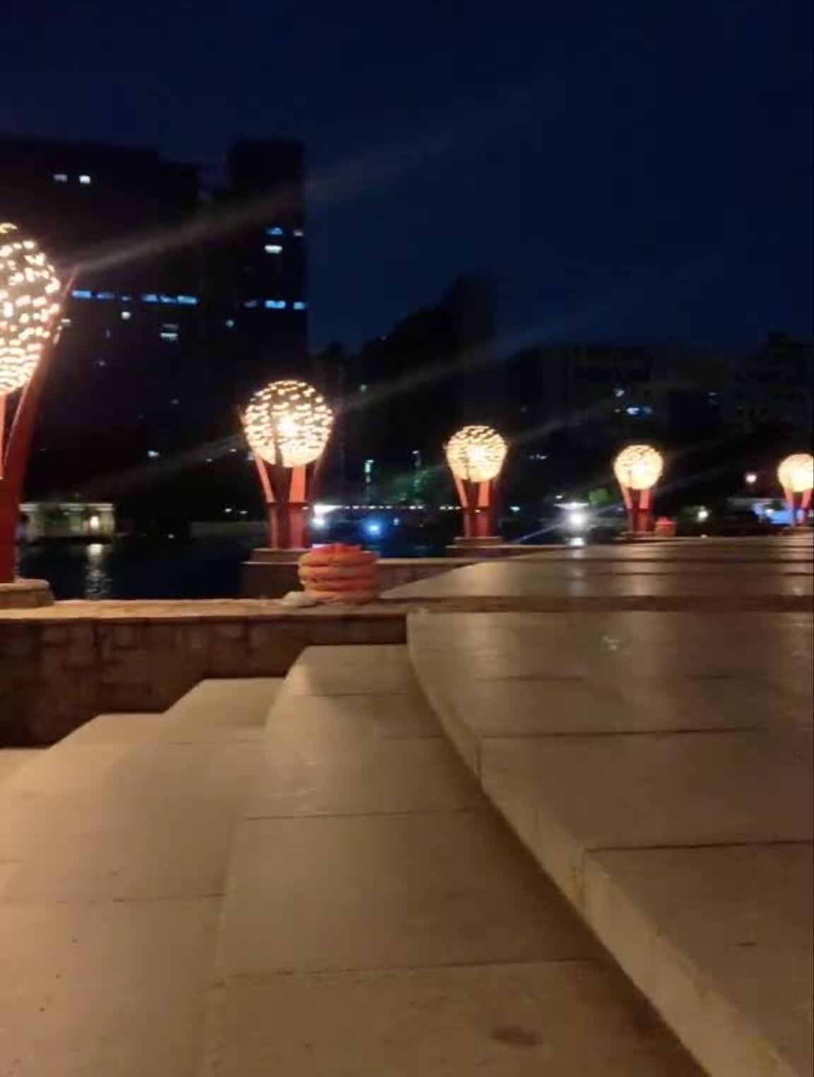 观赏鱼的日常,你们喜欢鱼吗 (175)