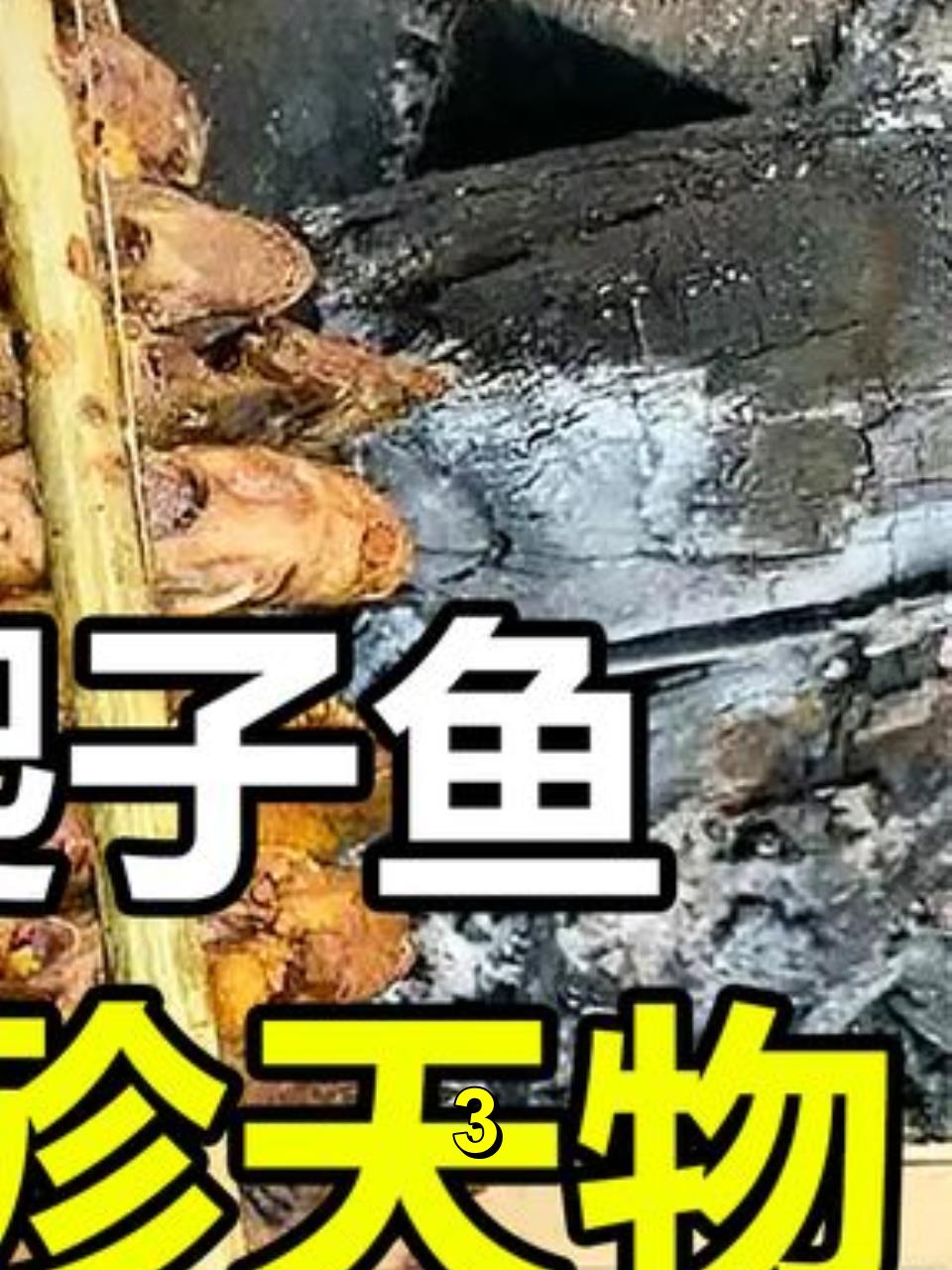广西男子烧烤“石爬子鱼”,网友称暴殄天物,价格竟超千元每斤?3
