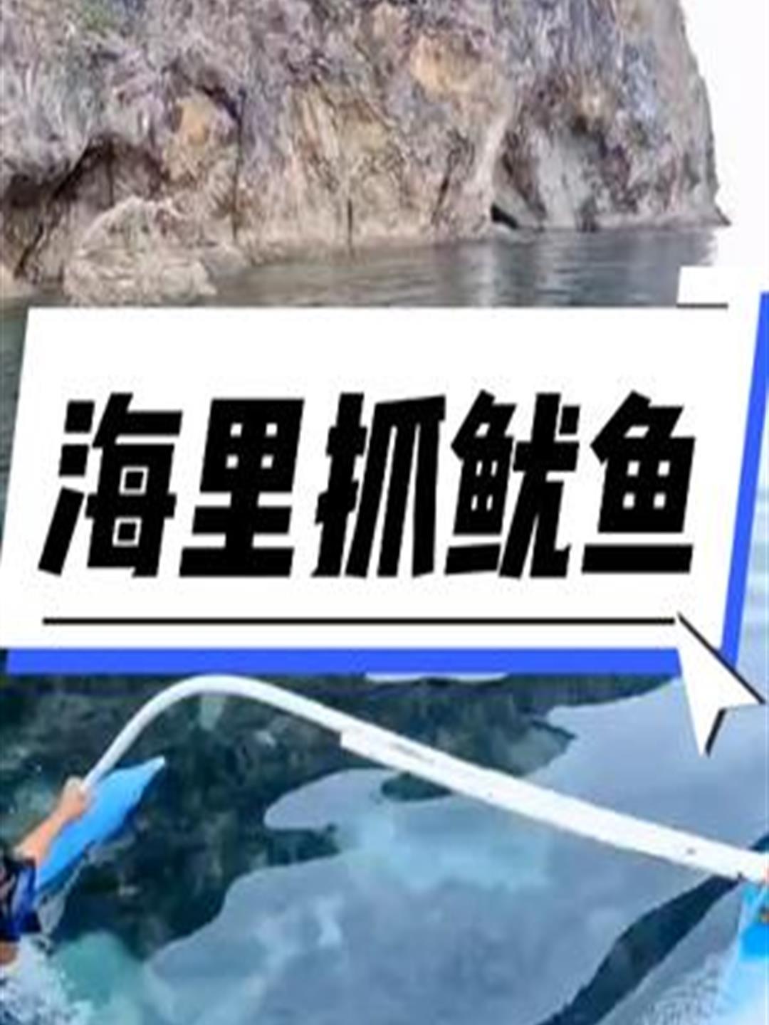 渔民用渔网将整片海域包围了起来,收获了几十斤鱿鱼3