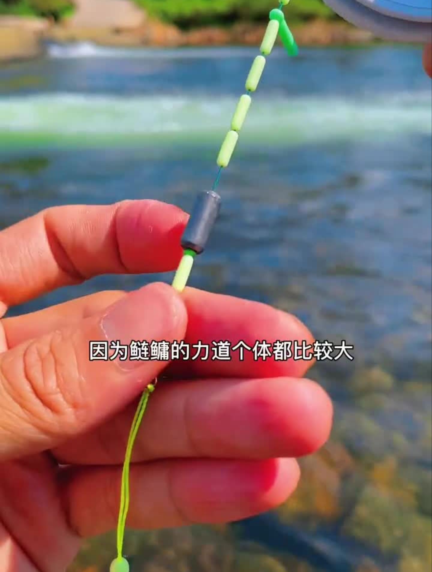 老邓手竿是如何钓鲢鳙的?钓鱼技巧钓鱼教学钓鱼教程