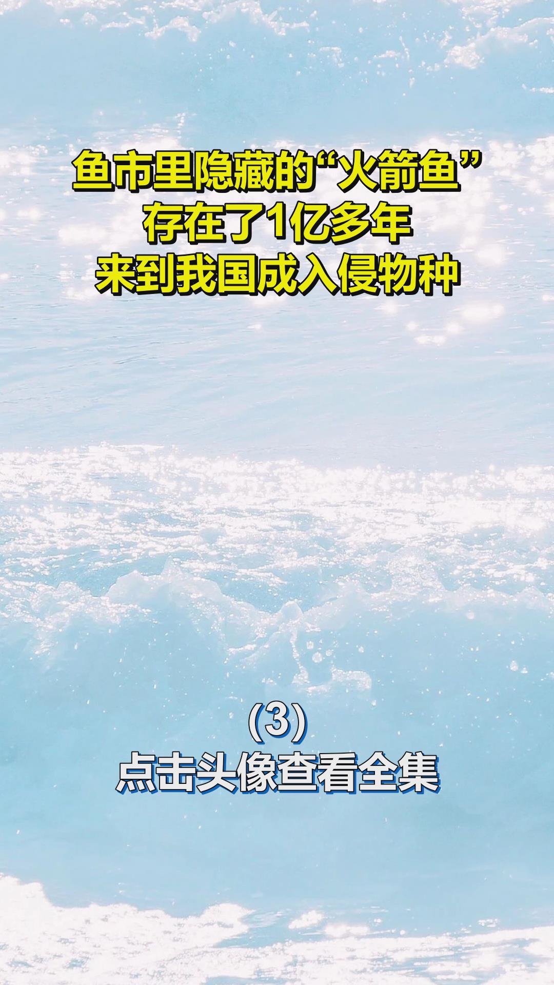 鱼市里隐藏的“火箭鱼”,存在了1亿多年,来到我国成入侵物种3