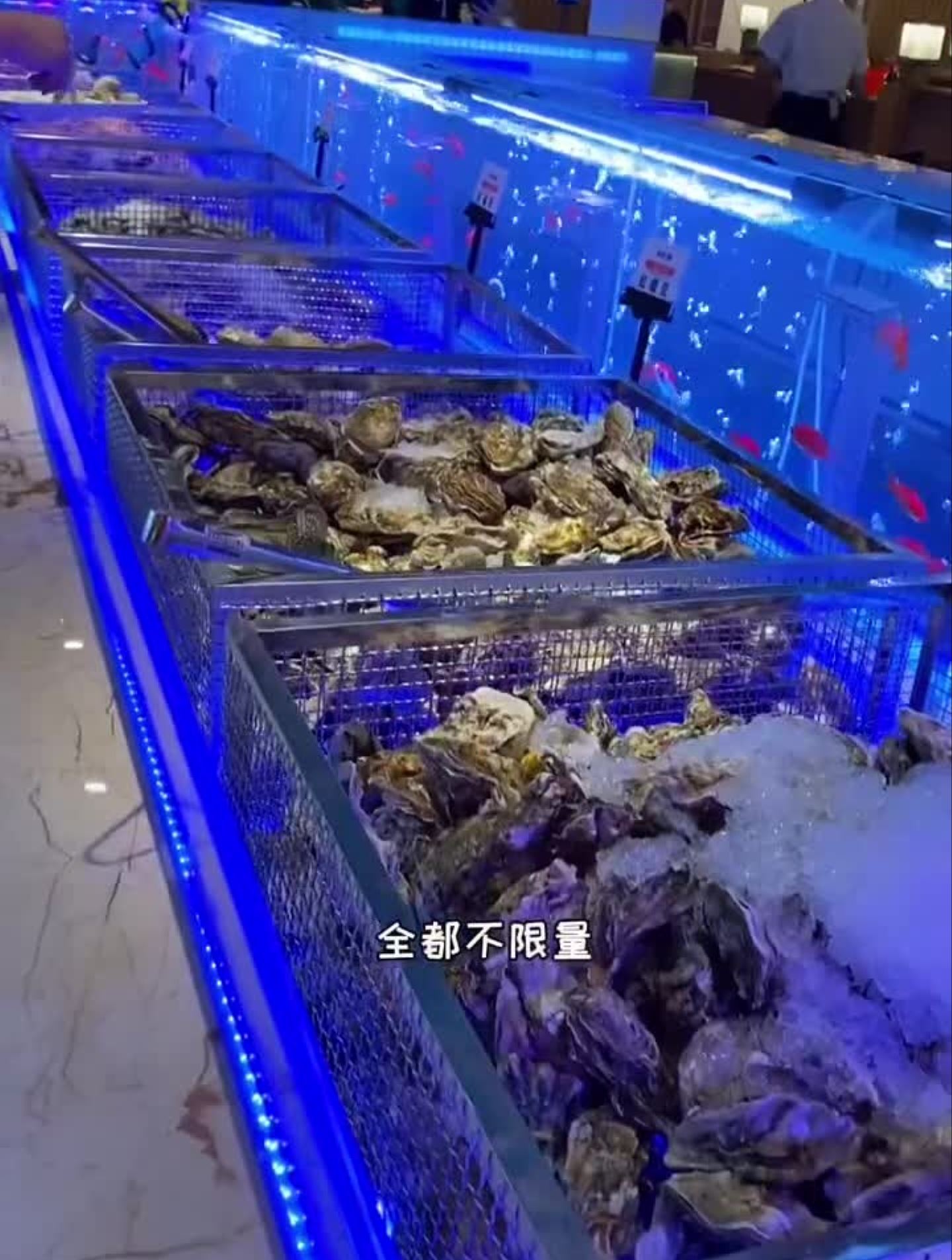 哈尔滨80多的海鲜自助能不能吃回本?