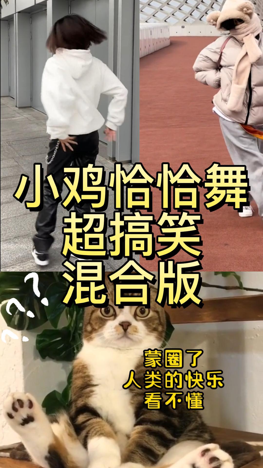 超搞笑混合版小鸡恰恰舞