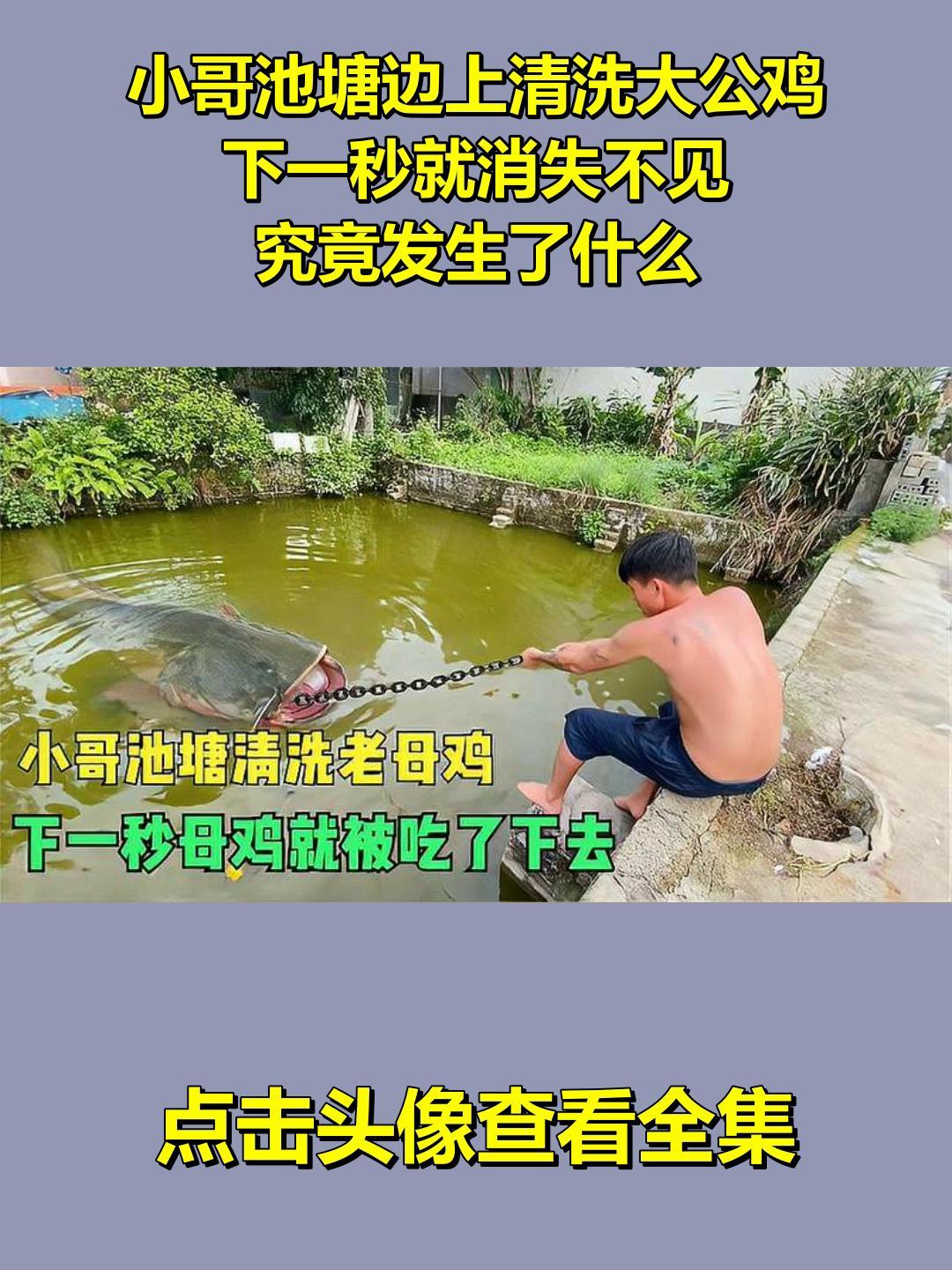 小哥池塘边上清洗大公鸡,下一秒就消失不见,究竟发生了什么!