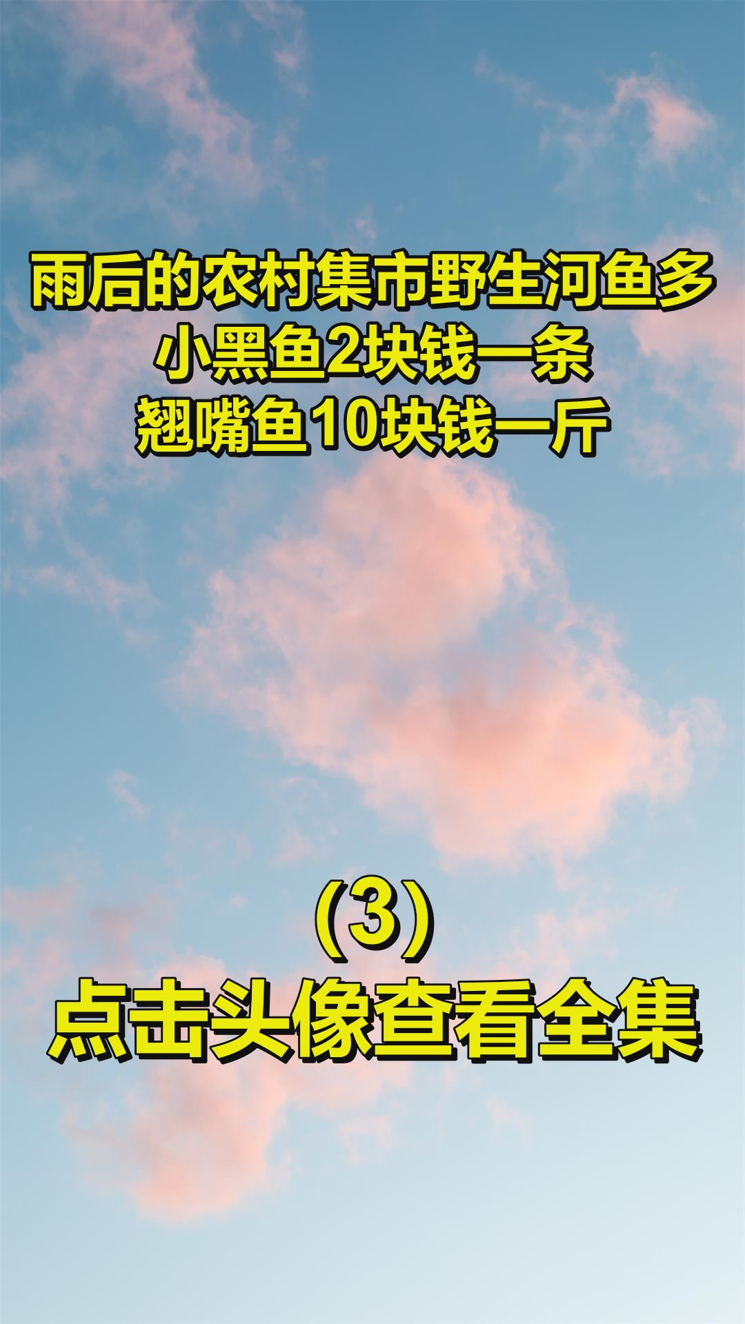 雨后的农村集市野生河鱼多,小黑鱼2块钱一条,翘嘴鱼10块钱一斤3