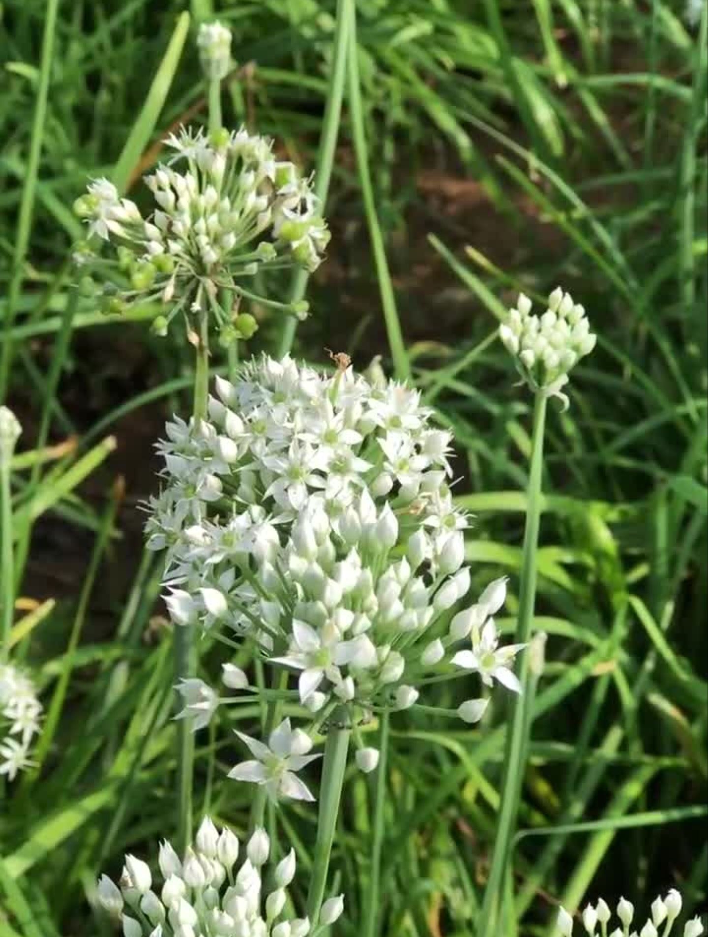 初秋,大地耕诗。快来看