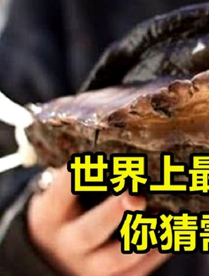 地球上最大的鲍鱼,一只就够10个成年人吃,一般人吃不起3
