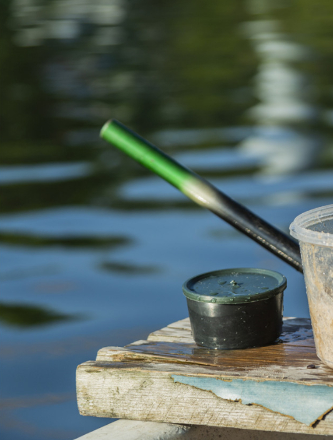 真的是没想到这水里也有鱼,而且还不少!