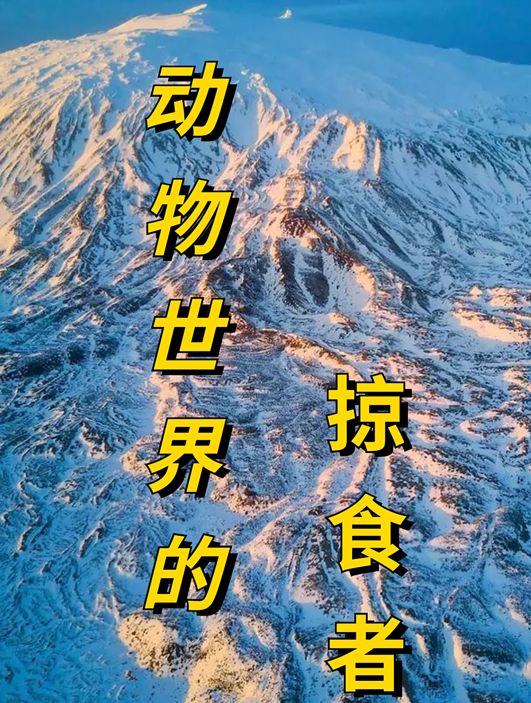 鳄鱼因为长期吸烟,导致嘴巴长了一个大瘤子2