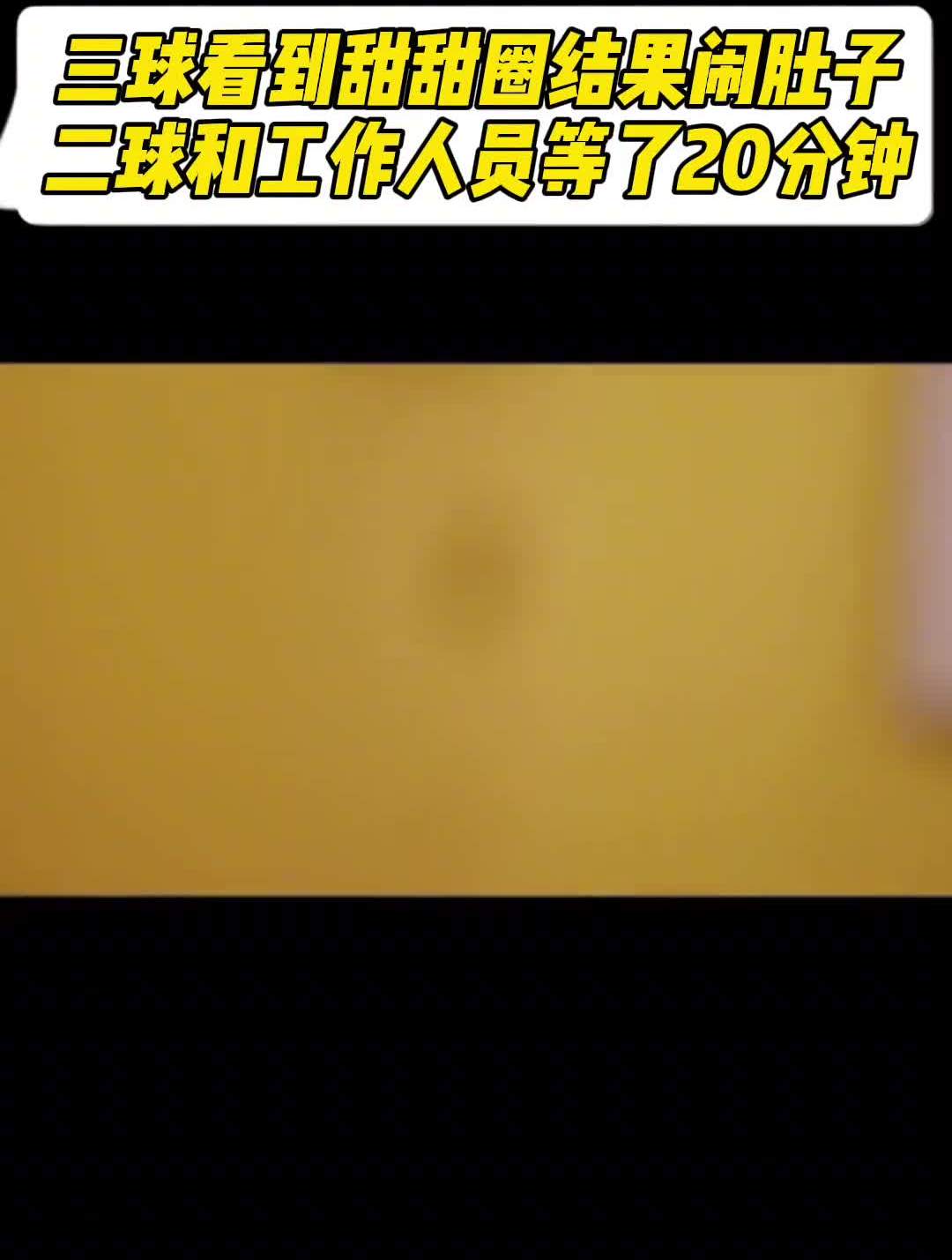 三球看到甜甜圈结果闹肚子!二球和工作人员等了20分钟