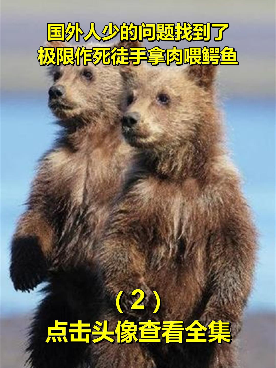 国外人少的问题找到了,极限作死徒手拿肉喂鳄鱼2