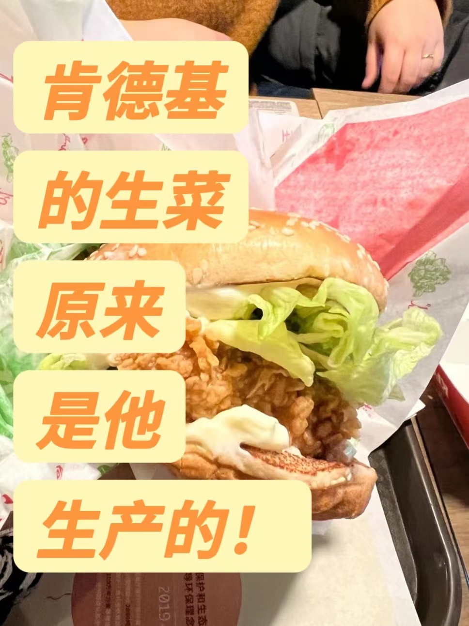 年入4.8亿,肯德基汉堡里的生菜其实是他生产的!