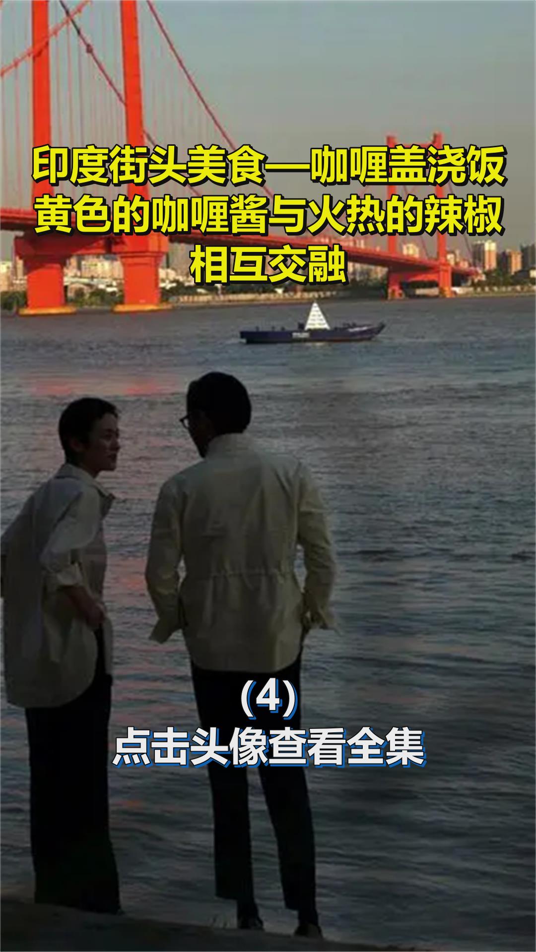 印度街头美食—咖喱盖浇饭,黄色的咖喱酱与火热的辣椒相互交融4