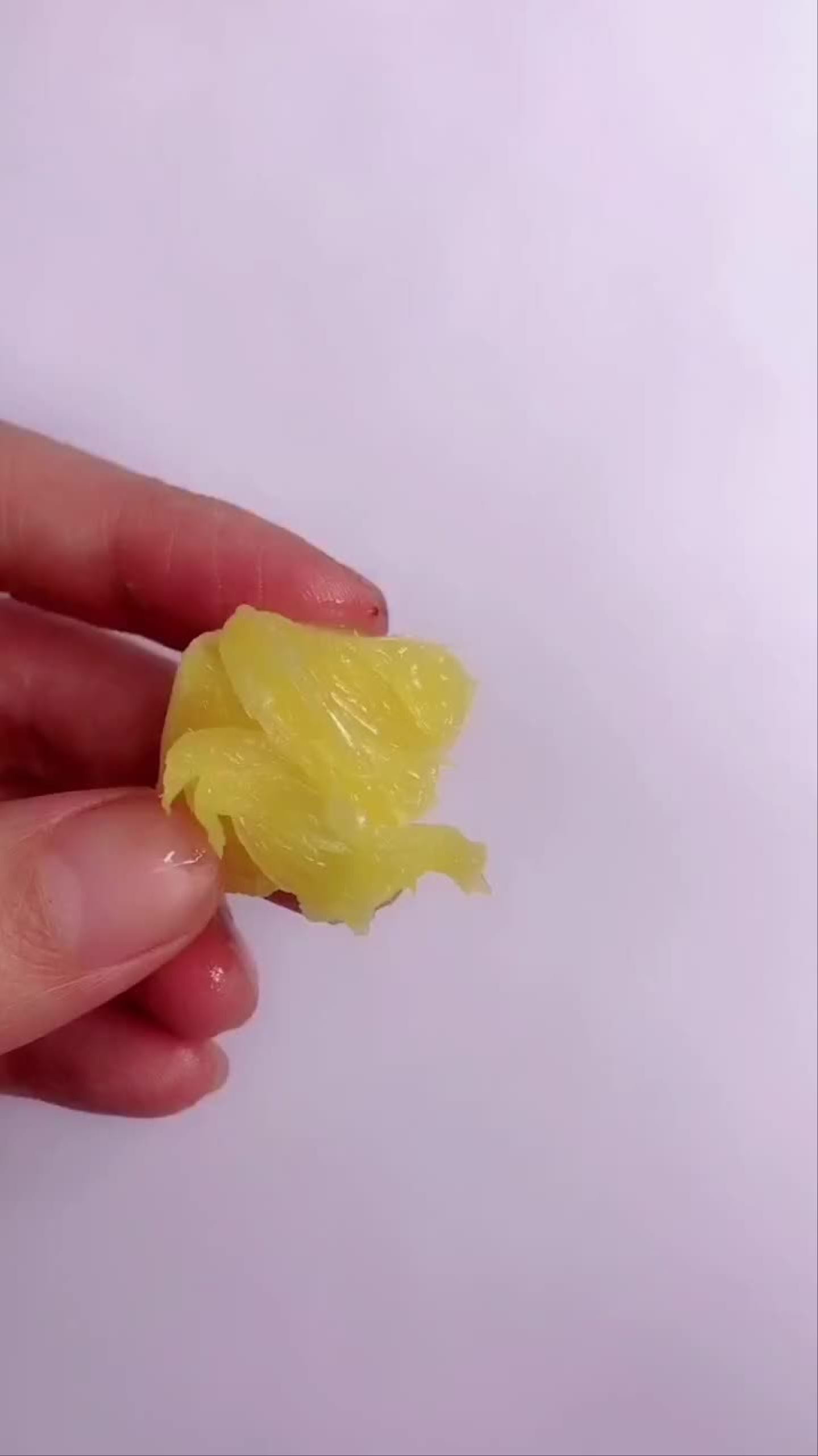 的是橙子吗?教程简笔画画画一起学画画有趣的创意