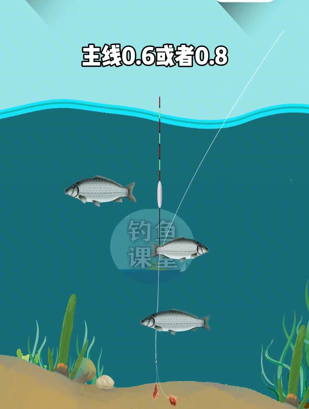 冬季钓鲫鱼你真的懂吗钓鱼野钓钓鱼技巧钓鱼教学