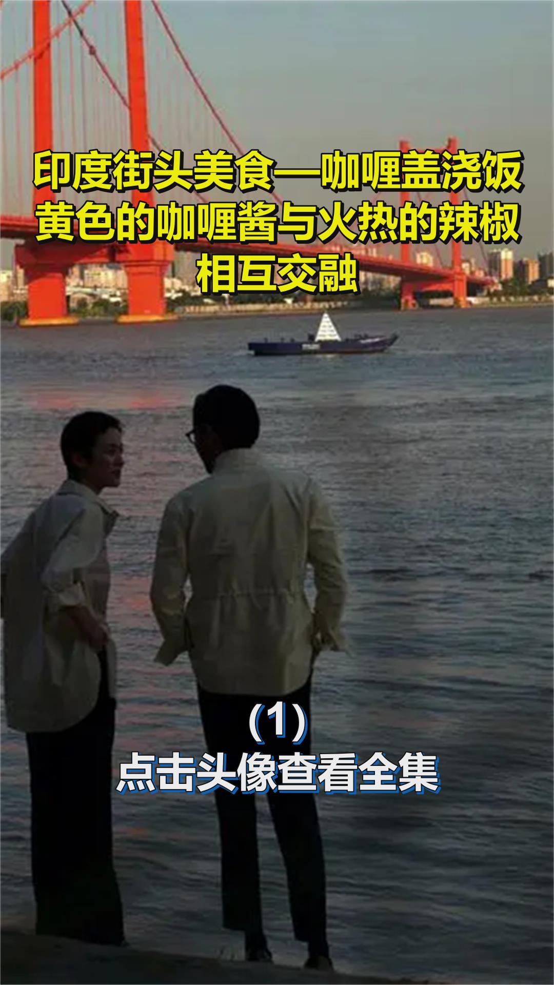 印度街头美食—咖喱盖浇饭,黄色的咖喱酱与火热的辣椒相互交融1