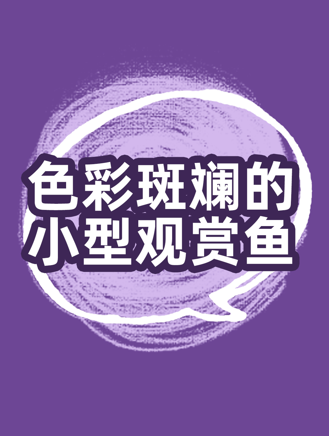 彩裙鱼,你所不知道的黑历史!小小观赏鱼背后的秘密,你知道吗?