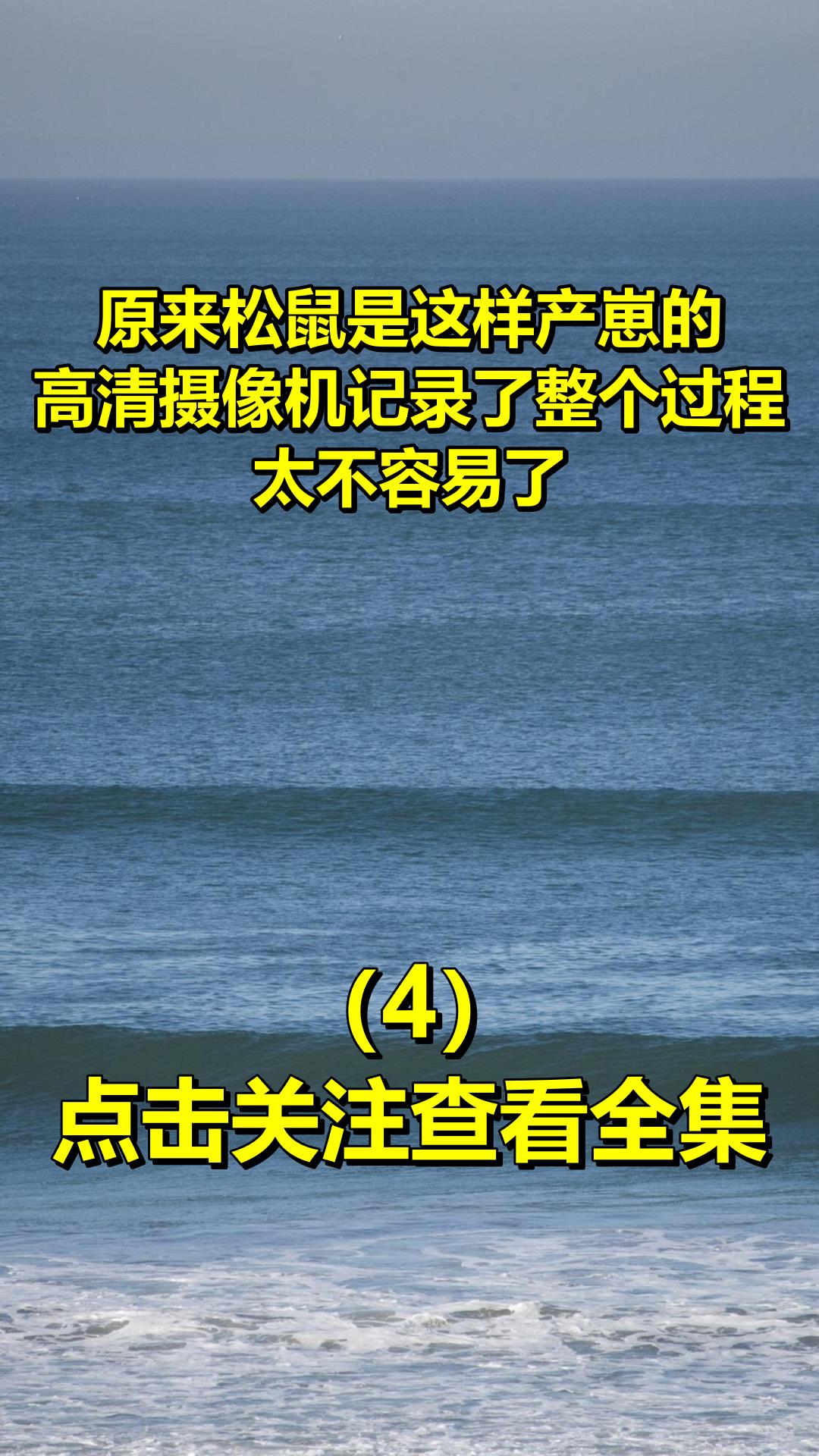 原来松鼠是这样产崽的,高清摄像机记录了整个过程,太不容易了4