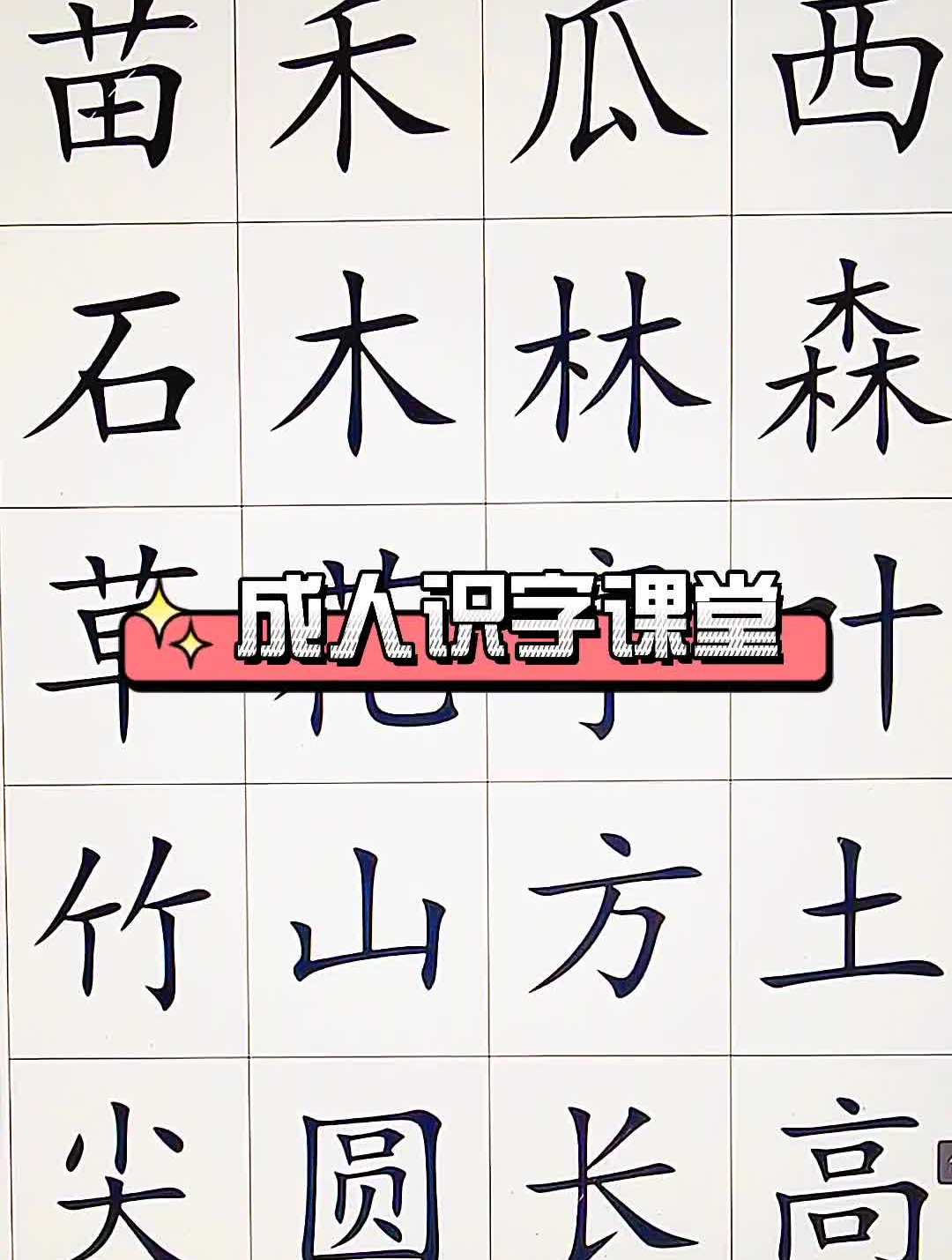 成人识字识字教育 (四)