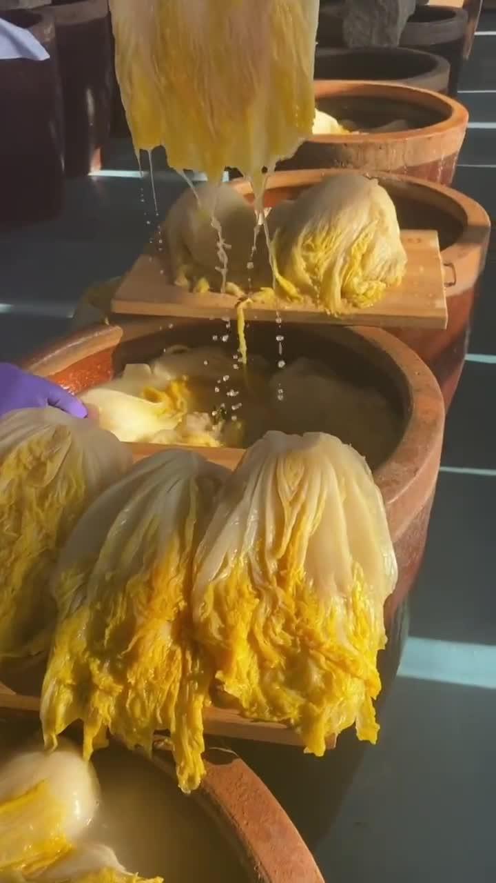 东北大缸酸菜,选用黄心白菜 低温自然发酵,干净卫生 酸香开胃