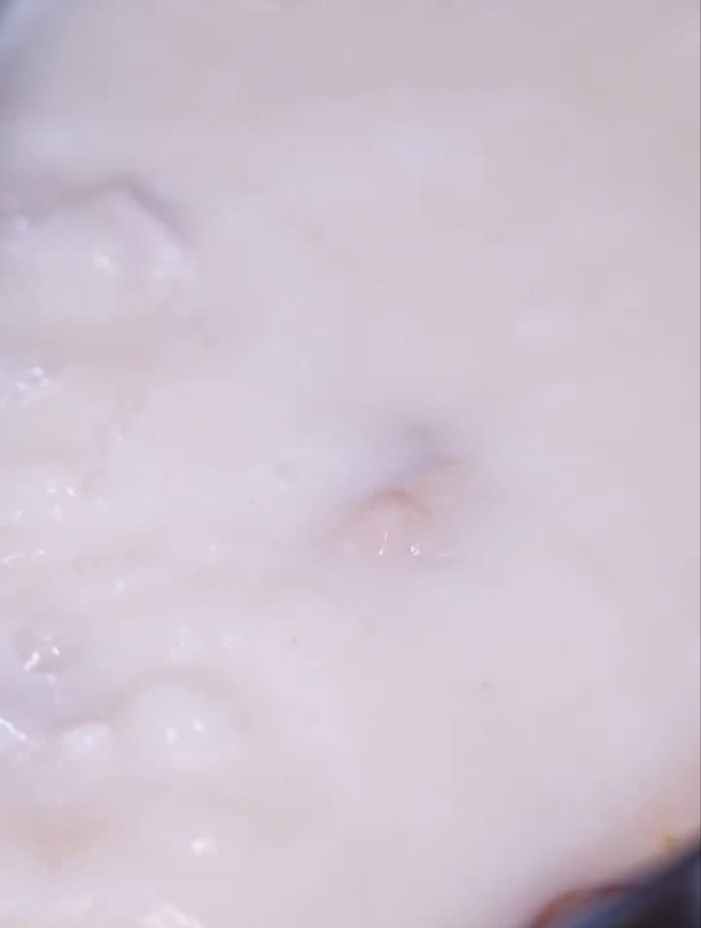 美食趣胃计划12年专注猪肚鸡汤的捞王,让人念念不忘有爱吃的吗